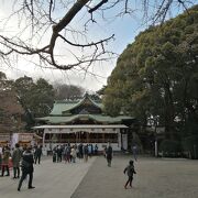 敷地面積東京で第3位の大きなお宮です