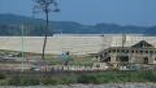 けなげな姿に見えました