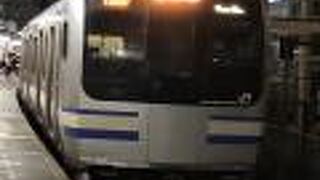 E217系の牙城でした