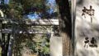 赤坂駅と六本木駅の間！