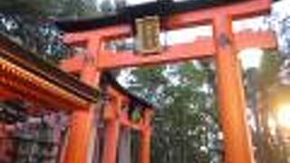 伏見稲荷大社 千本鳥居