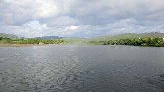 西表島マングローブ