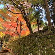 湖東三山の一つ