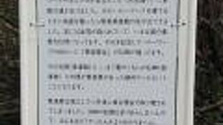 じゅらくだいっていうてもかましまへん