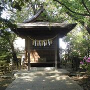 世田谷八幡宮の中