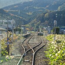 周辺はのんびりとした場所です。