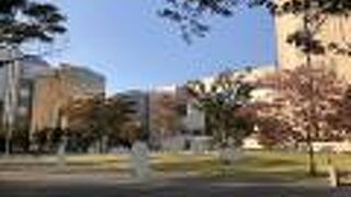 憩いの場になっています