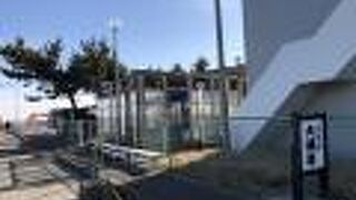 大磯漁協直営の食堂