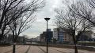 中洲の南端にある公園