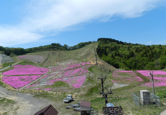 京丹後森林公園スイス村 クチコミ アクセス 営業時間 丹後半島 フォートラベル