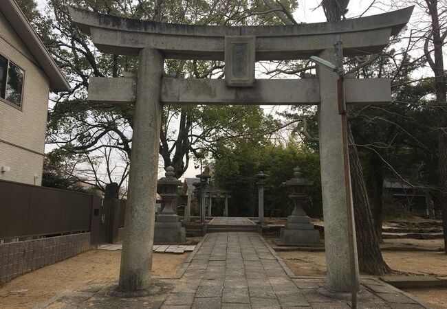 鳥飼八幡宮 クチコミ アクセス 営業時間 博多 フォートラベル 鳥飼八幡宮 クチコミ アクセス 営業時間 博多 フォートラベル