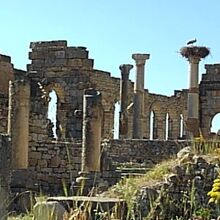 ヴォルビリスの古代遺跡