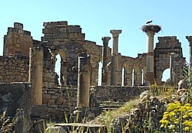 ヴォルビリスの古代遺跡