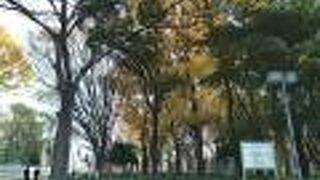 広々とした公園