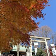 紅葉登山