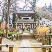 円覚寺から建長寺へ向かう途中で浄智寺に立ち寄りました。