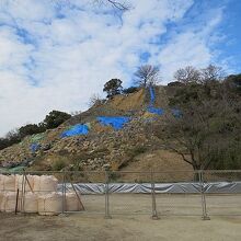 石垣が崩落していました