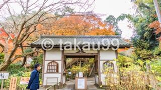 ワンチャン無料なら軽く見ようかと思ってましたが、鎌倉のお寺はそれほど甘くないです（笑）