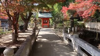 生田の池の中、紅葉もきれい