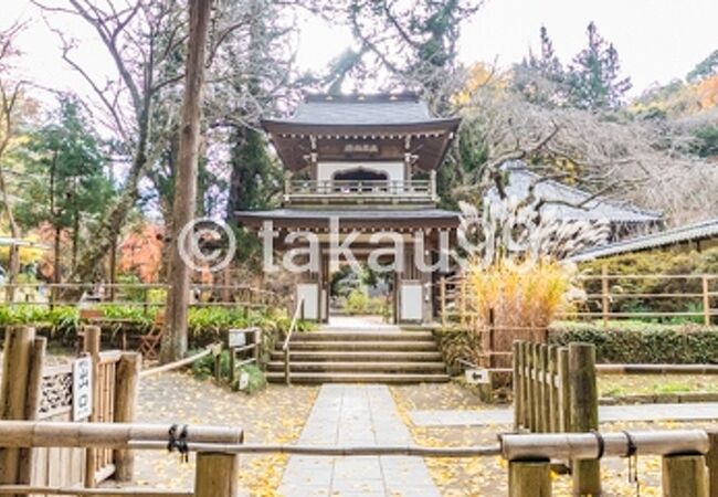 浄智寺 クチコミ アクセス 営業時間 鎌倉 フォートラベル 浄智寺 クチコミ アクセス 営業時間 鎌倉 フォートラベル