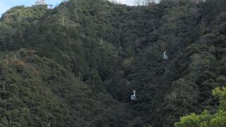 岐阜観光と登山に最適な金華山なのよ