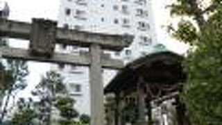 お相撲の神様です