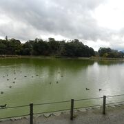 橿原神宮境内の池