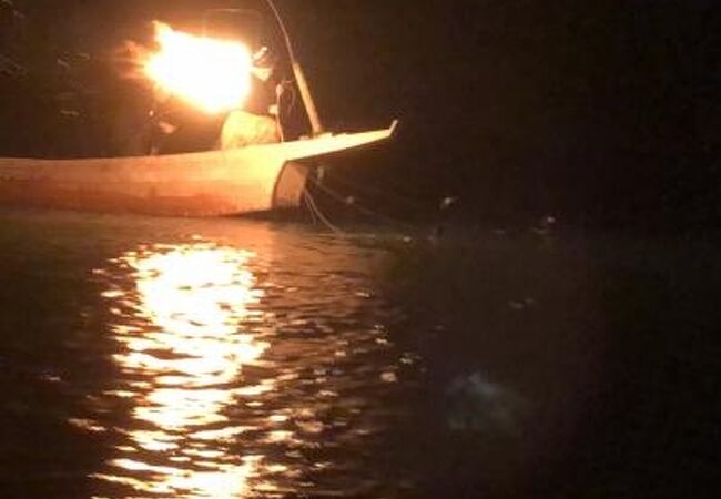 長良川鵜飼 クチコミ アクセス 営業時間 岐阜市 フォートラベル
