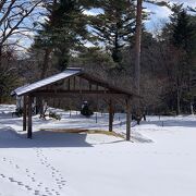 密とは無縁だが雪の時期の散策は足元に注意を