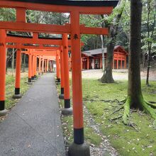 長山稲荷社朱色の鳥居