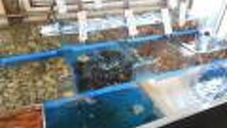 お寿司をテイクアウト