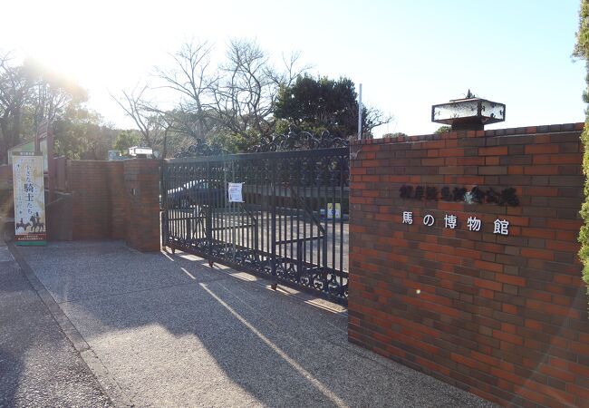 馬の博物館(根岸競馬記念公苑) クチコミ・アクセス・営業時間 馬の博物館(根岸競馬記念公苑) クチコミ・アクセス・営業時間