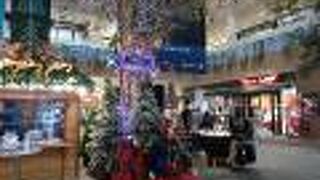 けやき広場はにぎやかです♪