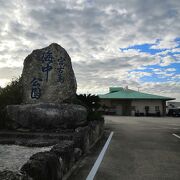 自然の水族館