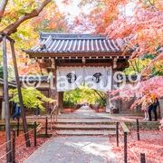 「そう京」のポスターにもなった紅葉の名所として知られているお寺です。