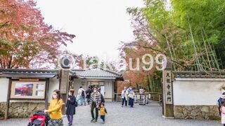 嵯峨野 竹林の道のあと天龍寺に立ち寄りました。