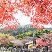 この日の嵐山・嵯峨野散策のメインの訪問地でした。