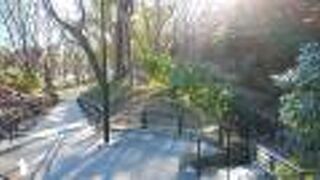 都会の中の小さな自然