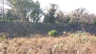 外堀の石垣を鑑賞