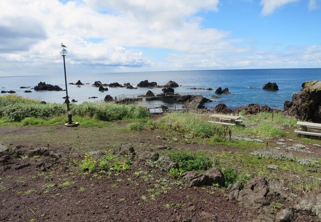 仙法志御崎海岸 仙法志御崎公園 クチコミ アクセス 営業時間 利尻島 フォートラベル