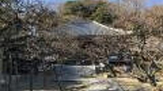 島崎藤村夫妻が眠っている