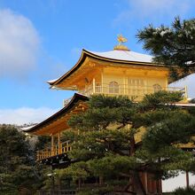 青空に映える金色の鳳凰