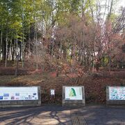 横浜市北部の原始時代を学ぶのに最適。吉野ヶ里遺跡よりずっと良い。