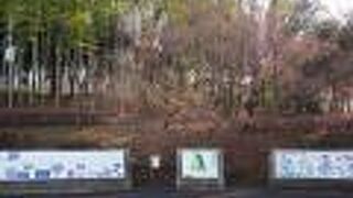 横浜市北部の原始時代を学ぶのに最適。吉野ヶ里遺跡よりずっと良い。