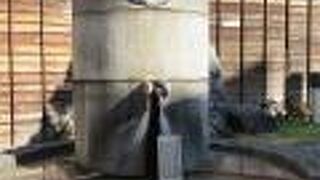 少しだけ足を入れてきました