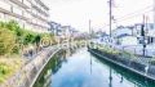 普通に京都の街中を流れている姿もなかなか面白いです。