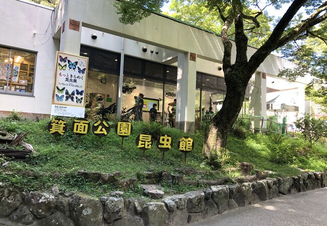 箕面のおすすめ観光スポット クチコミ人気ランキングtop フォートラベル 大阪