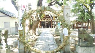 夏の茅の輪くぐりがありました。