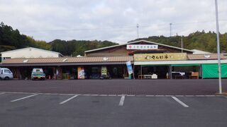 土佐清水産の宗田節が特産品