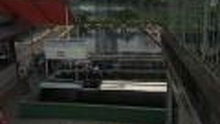 釣り堀とショップ